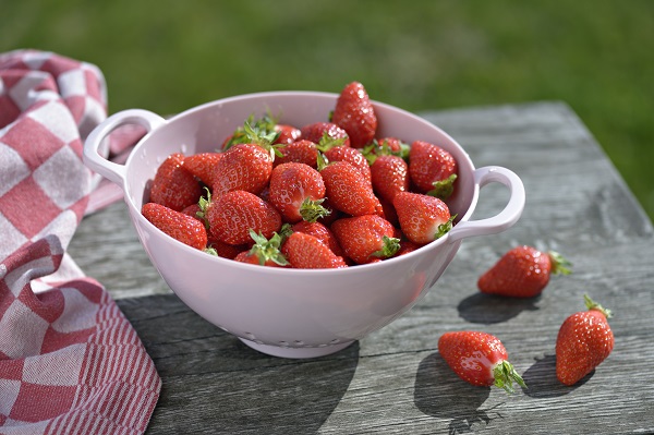 Rougeline et la fraise française