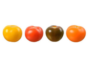 Rondes 4 couleurs