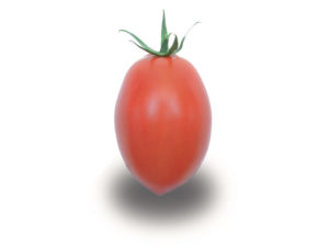 Allongée