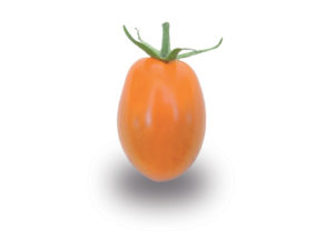 Cerise allongée orange