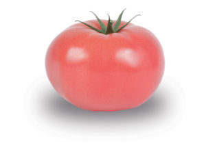 Ronde rose