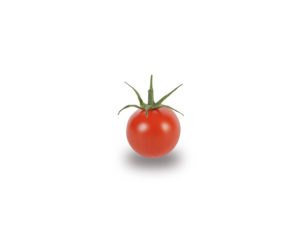 Cerise rouge ZRP