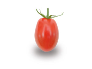 Cerise allongée rouge ZRP