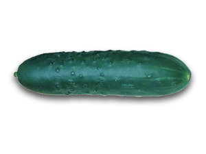 Concombre Noa