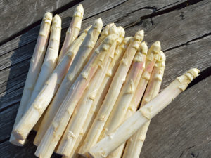 Asperge violette Haute Gironde ZRP
