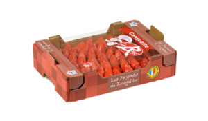 Fraises Label Rouge