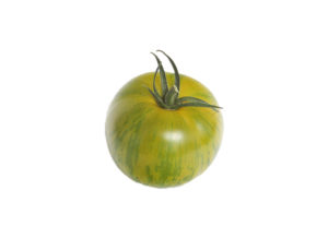 Ronde zébrée verte