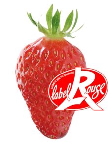 Mariguette Extra Label Rouge