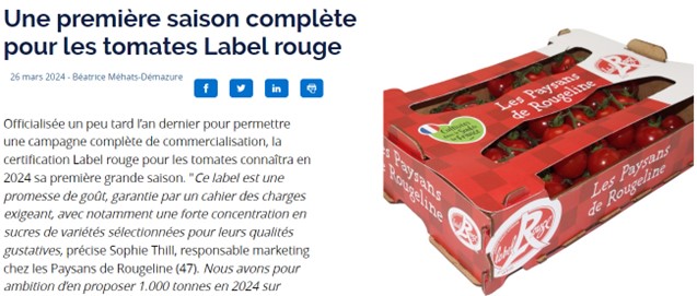 «Une première saison complète pour les tomates Label Rouge»