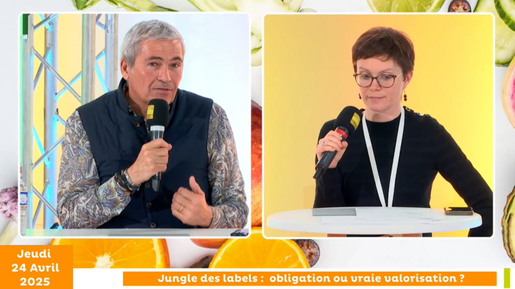 MEDFEL 2025 Philippe Fort Rougeline