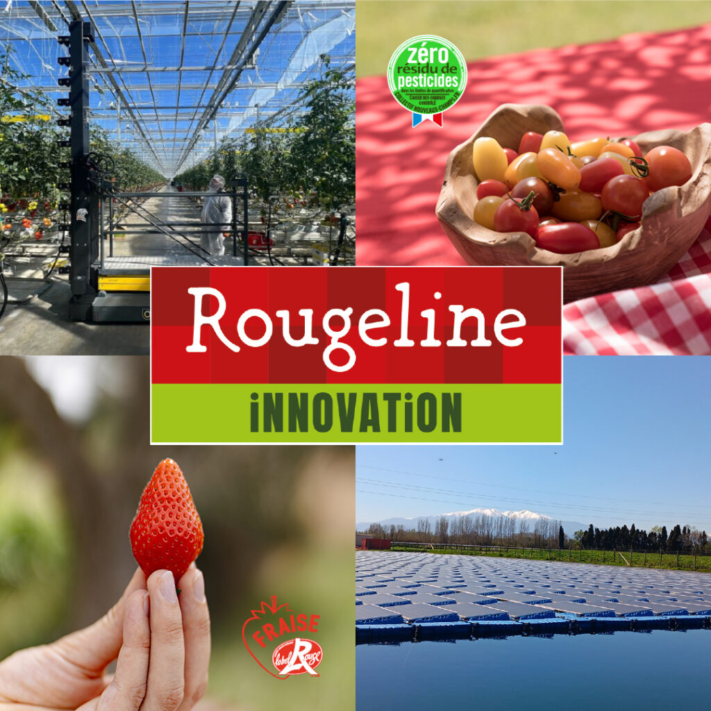 innovation agricole durable