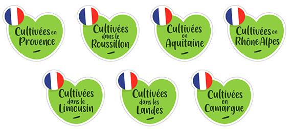 macarons_lpdr_origines-2