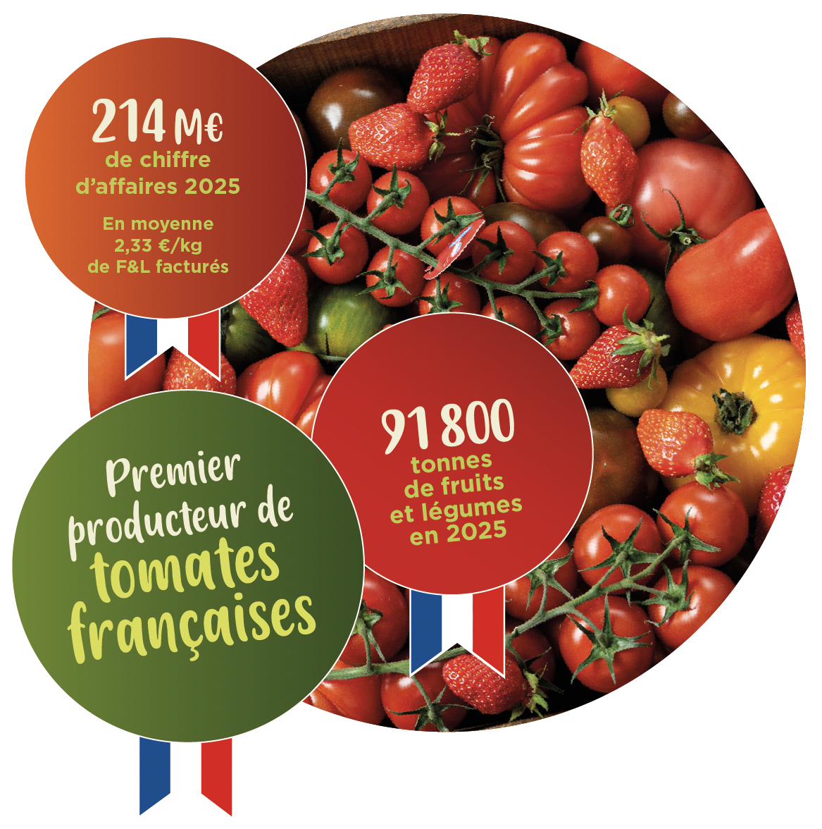 visuel_chiffres_cles_site