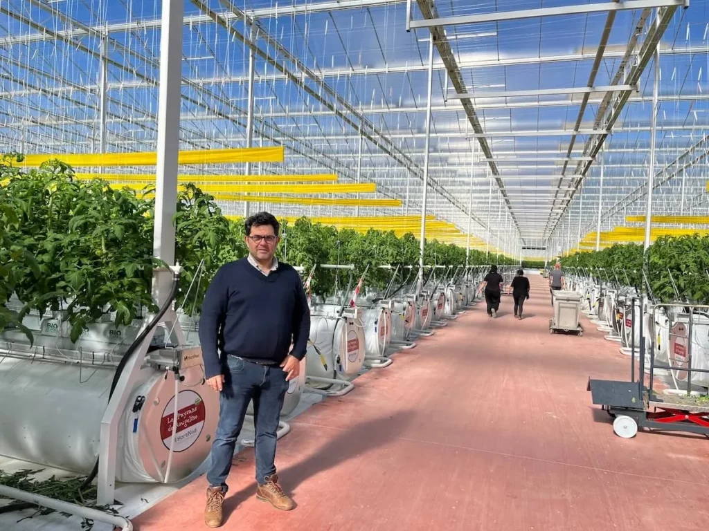 Bruno Vila au sein des nouvelles serres de la coopérative Sud Roussillon, à Saint-Cyprien, où les premiers plants de tomate sont entrés en production.